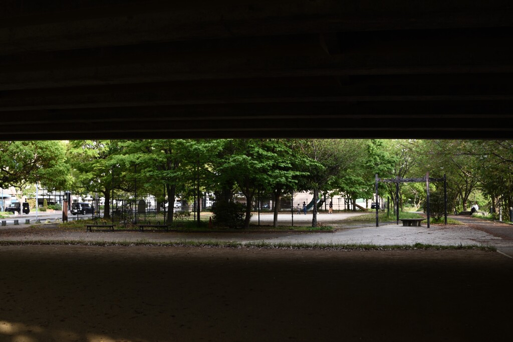 「キュウリのパパ」04