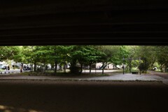 「キュウリのパパ」04 「キュウリのパパ」04