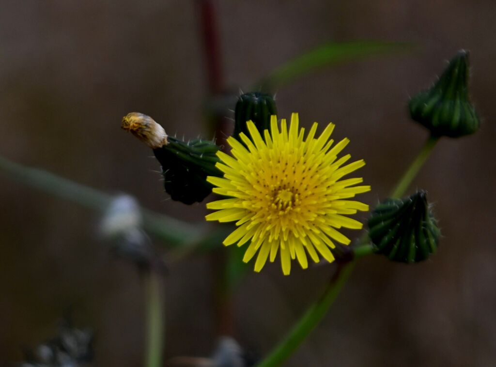 「恋せよオヤジ」年末ですから・・（＾＾；