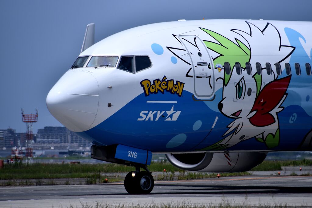 SKY 229