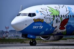 SKY 229