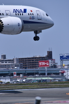 ANA 544