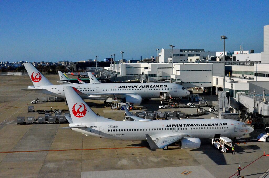 JAL 110