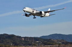 JAL 36