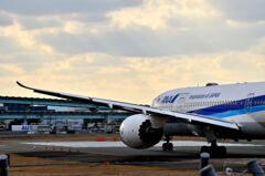 ANA 488