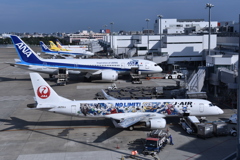 JAL 737
