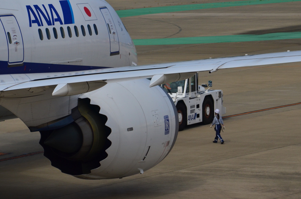 ANA 413