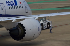 ANA 413