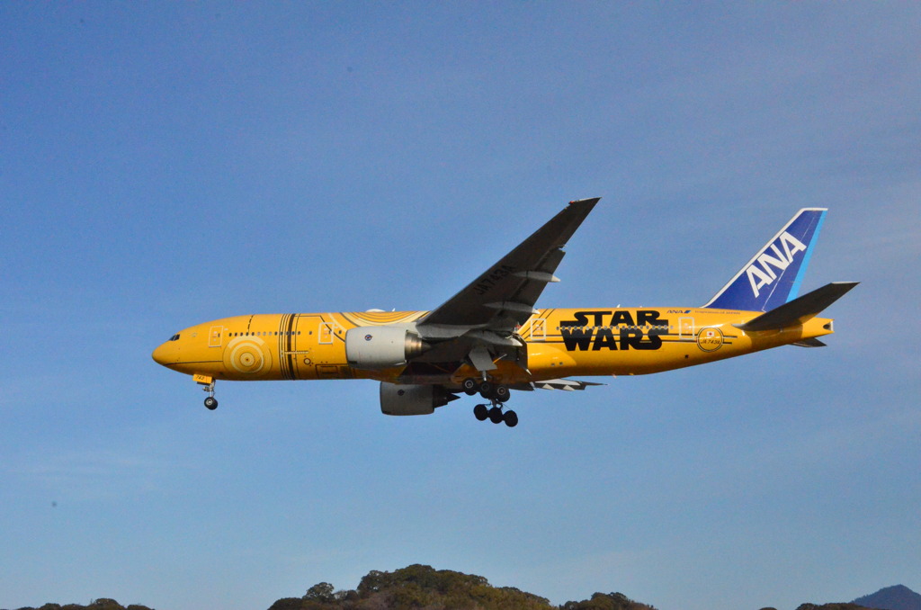 ANA 268  （特別塗装機）