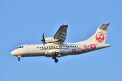 JAL 353