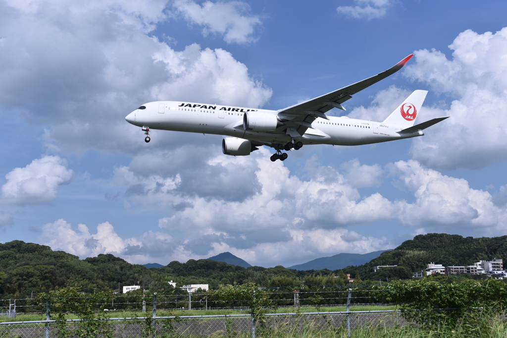 JAL 735