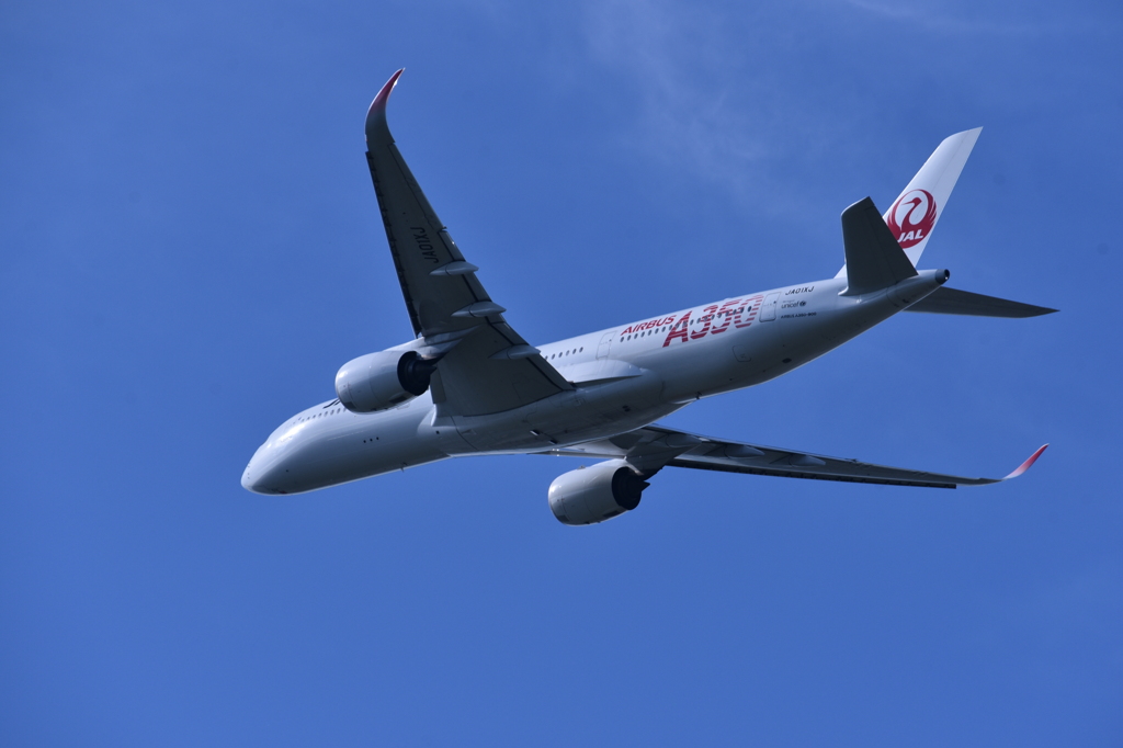 JAL 1126