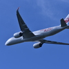 JAL 1126