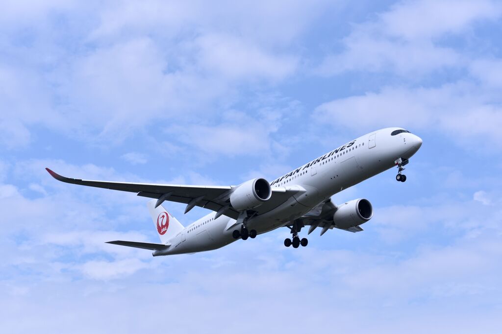 JAL 768