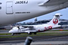 JAL 746