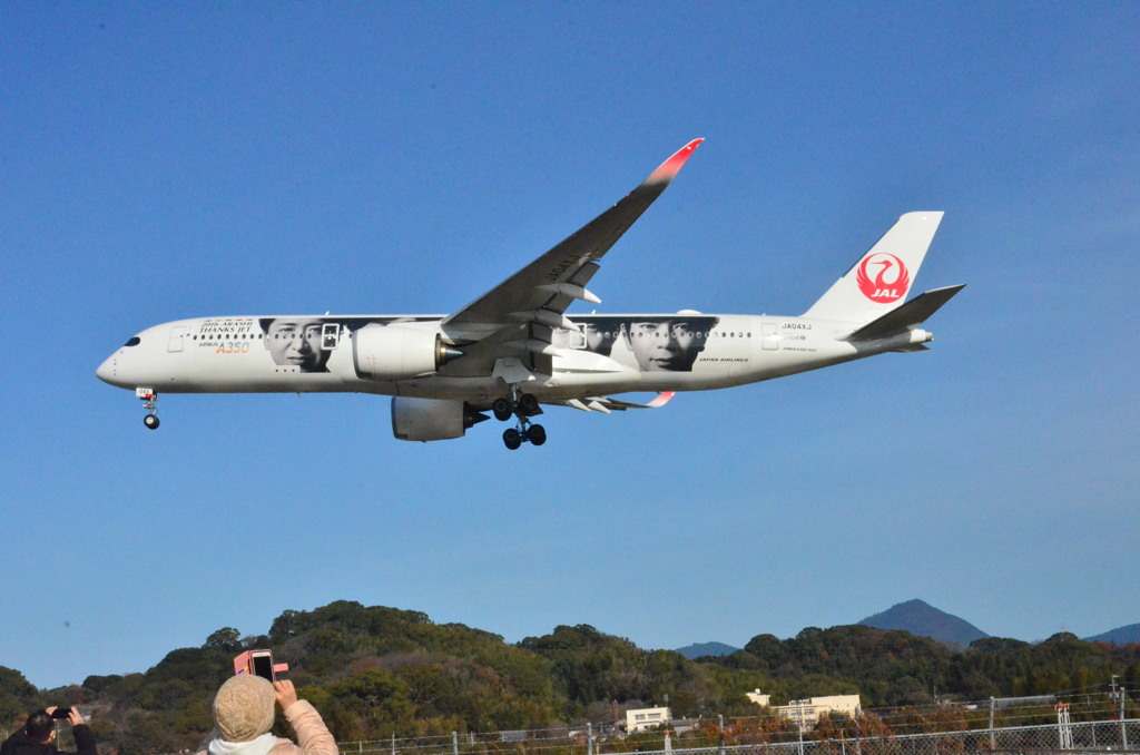 JAL 333  （特別塗装機）