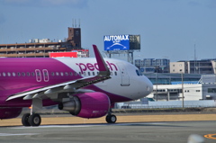 PEA 129