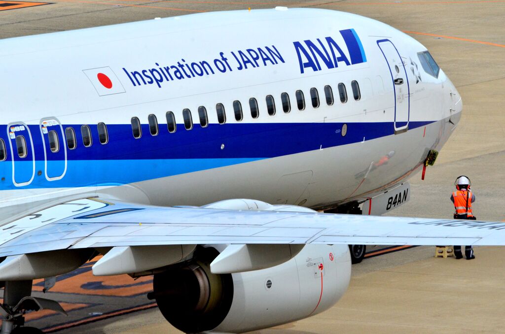 ANA 198