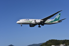 ANA 868