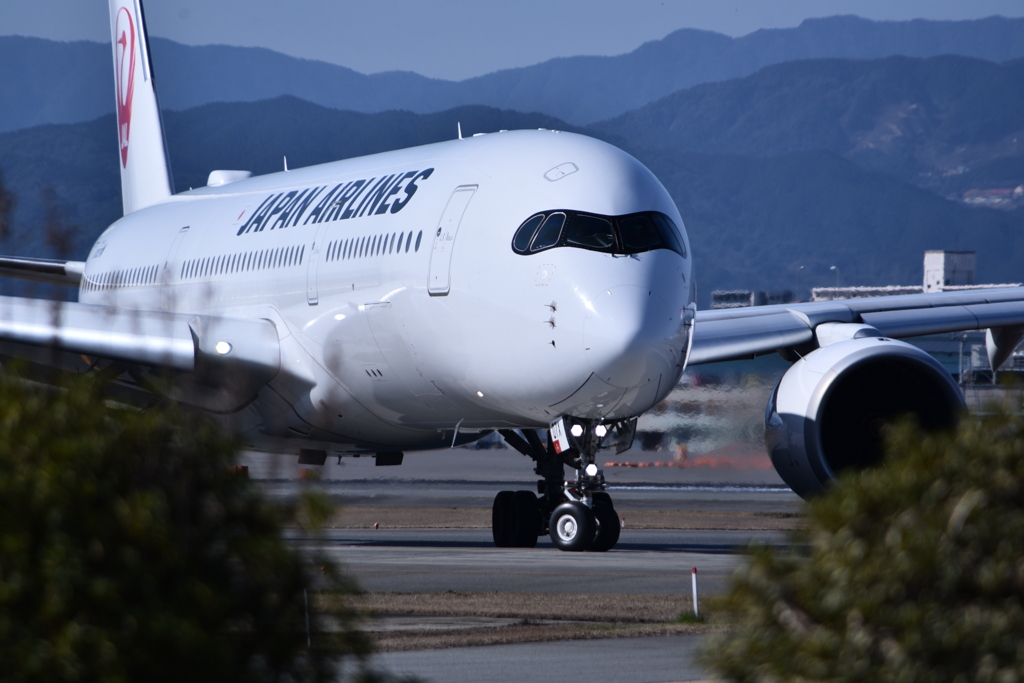 JAL 1165