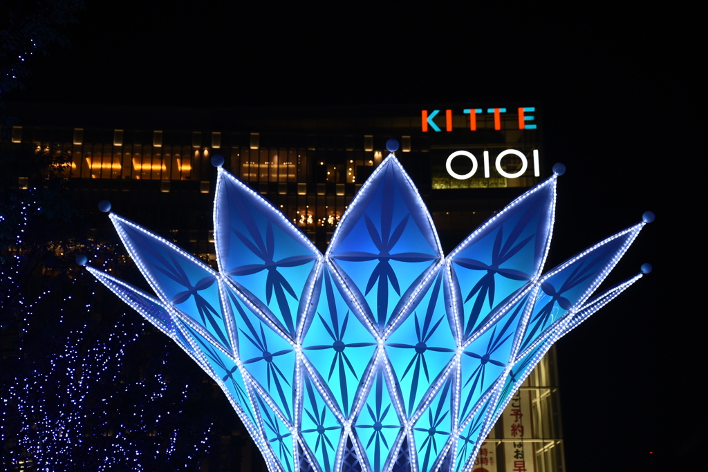 「博多駅イルミ2024」01