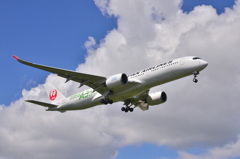 JAL 237