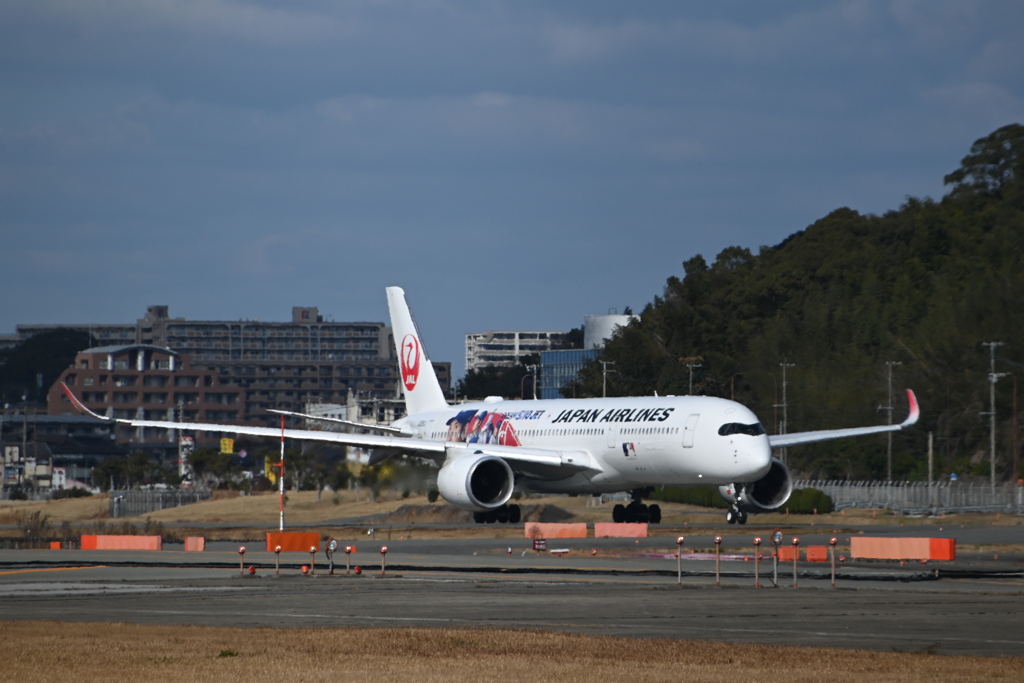 JAL1383