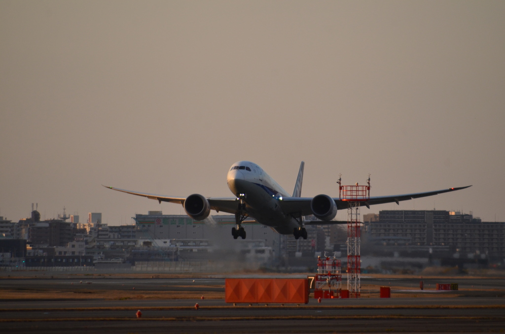 ANA 445