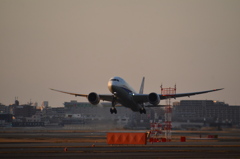 ANA 445