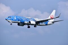 JAL 1014