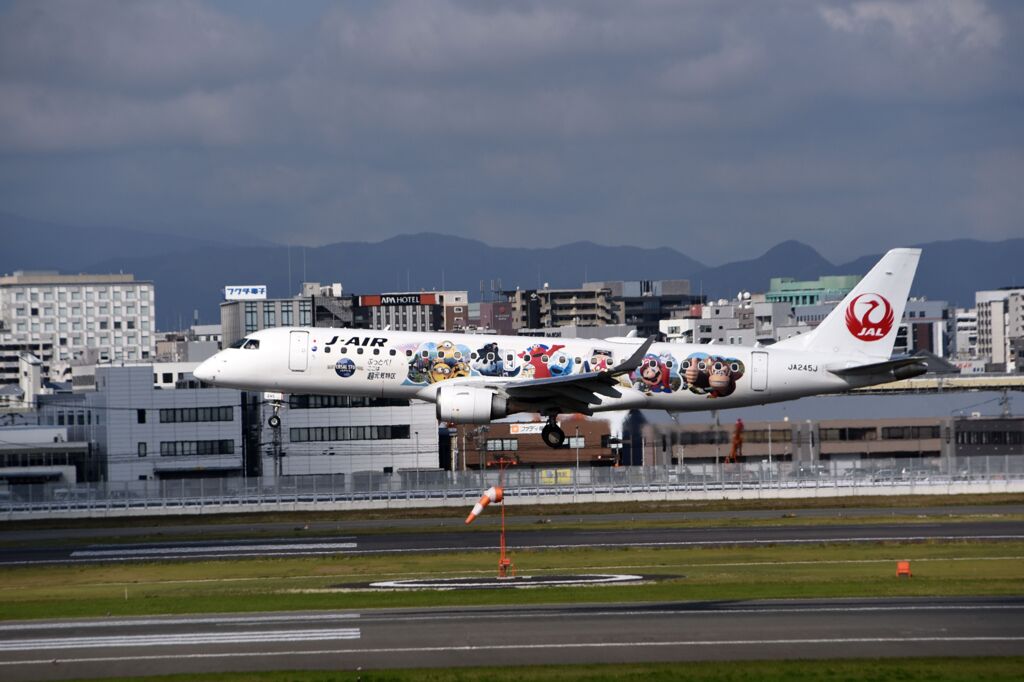 JAL 1314