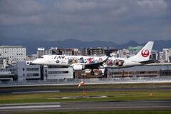 JAL 1314