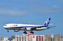 ANA 136