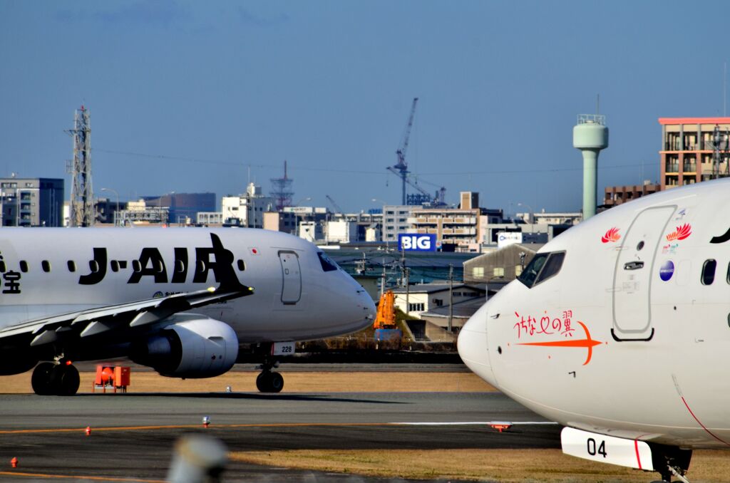 JAL 555