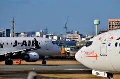 JAL 555