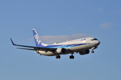 ANA 455