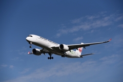 JAL 1179     Airbus A350