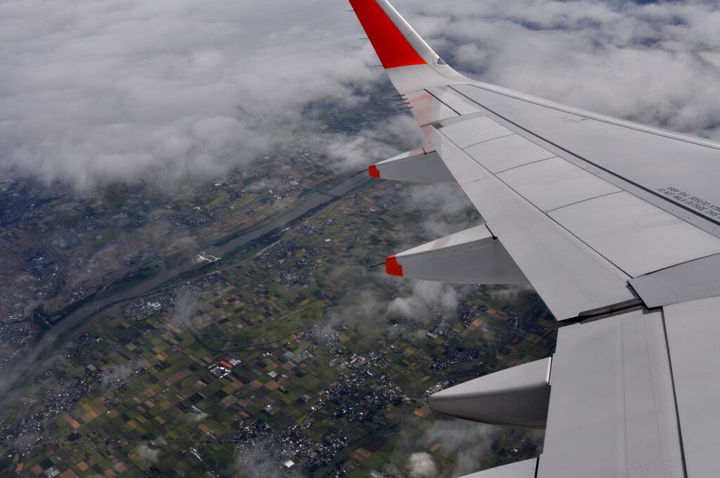 忘れな草　48 「セントレアへ 2016」