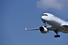 JAL 647