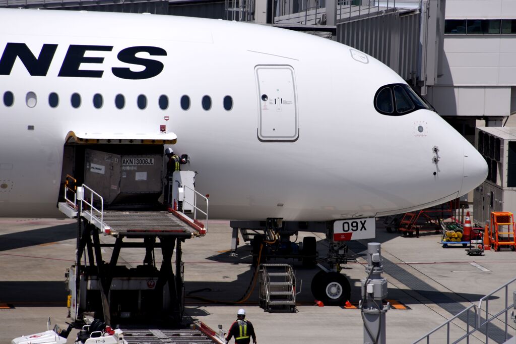 JAL 564