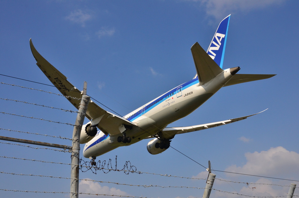 ANA 288