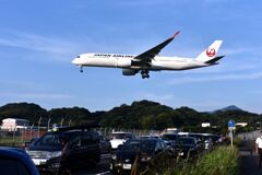 JAL 967