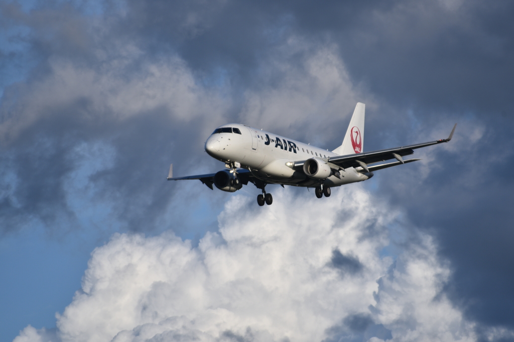 JAL 685