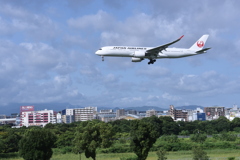 JAL 706