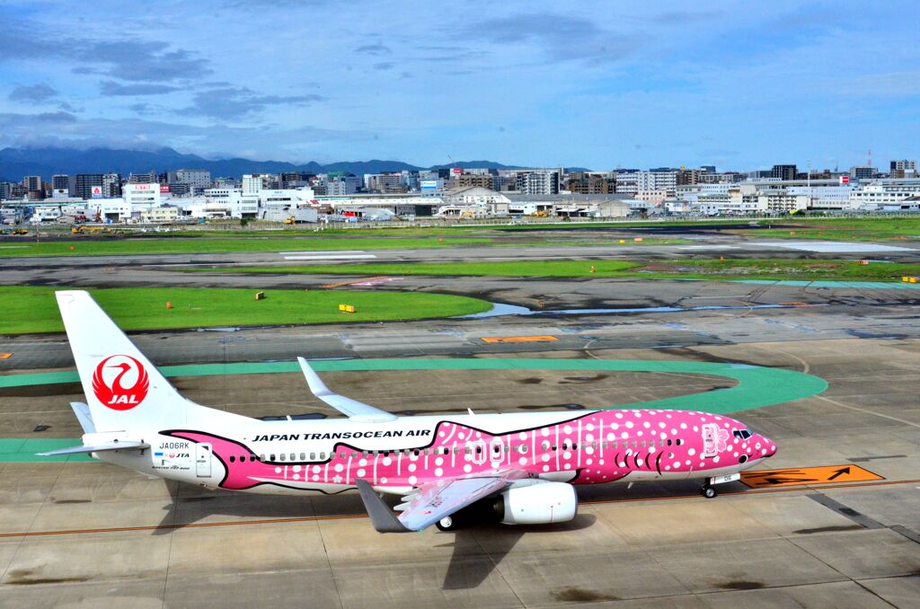 JAL 332  （特別塗装機）