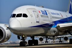 ANA 493