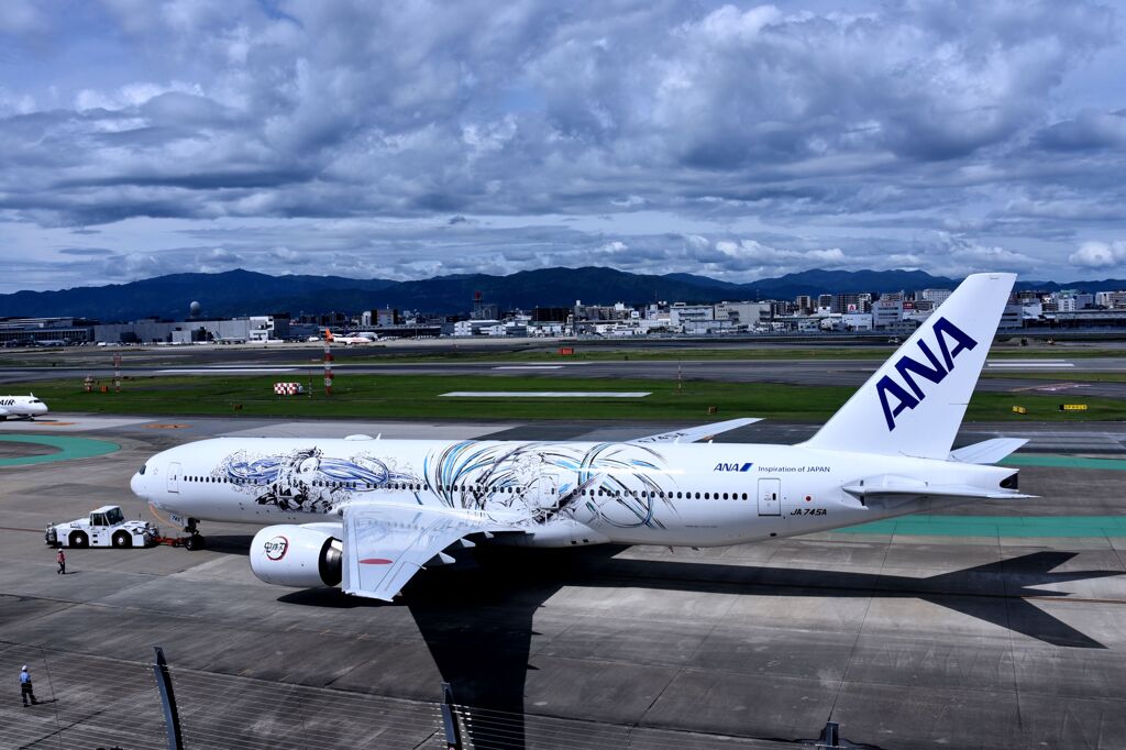 ANA 888