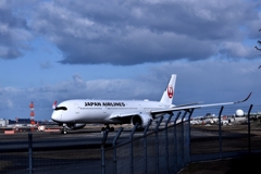 JAL 1177     Airbus A350