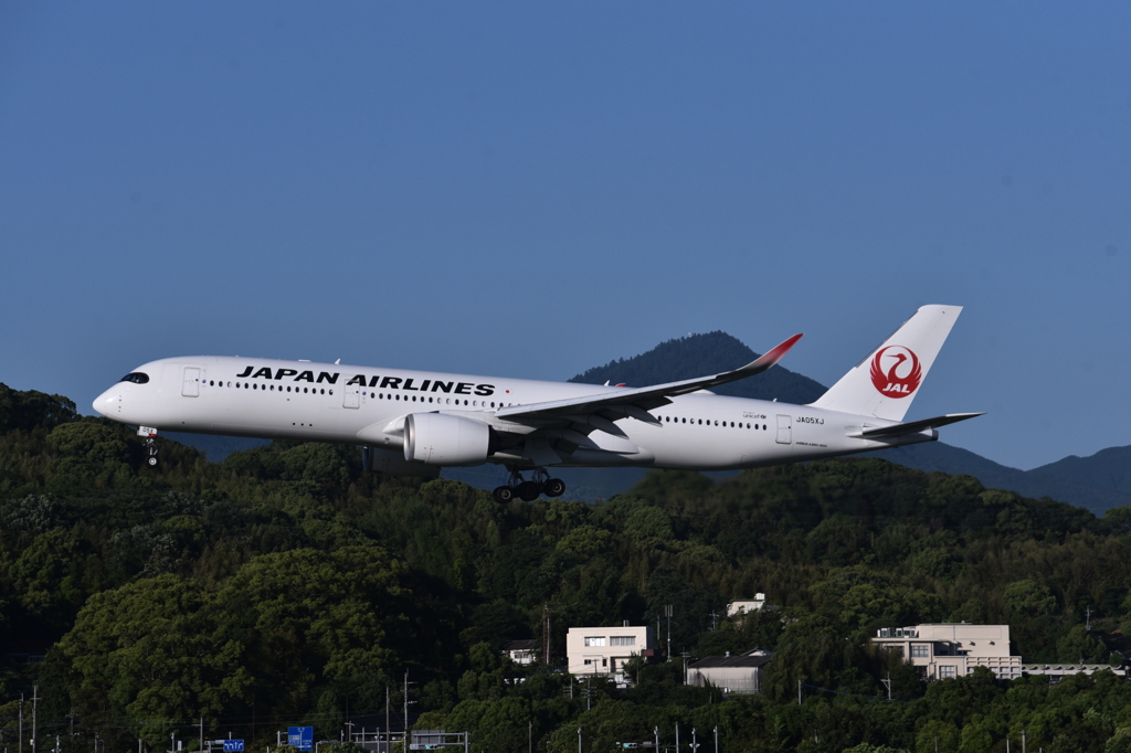 JAL954