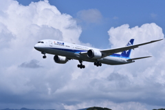 ANA 860